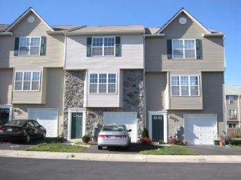 tintnn profile photo