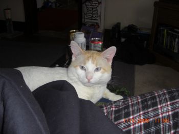 caseymeyer profile photo