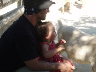 lusmikub profile photo