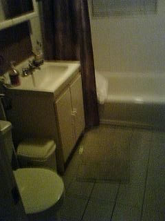 jayelli23 profile photo