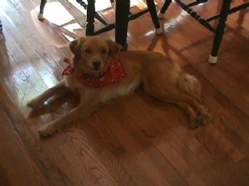 actorman2008 profile photo