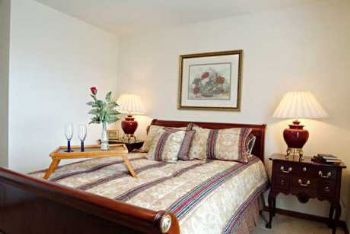 kminish profile photo