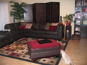 hapapower profile photo