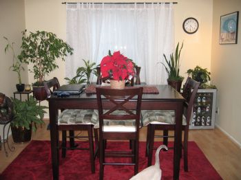 hapapower profile photo