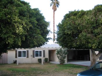 banarchitect profile photo