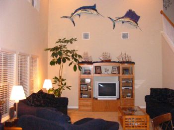 dantonip2 profile photo