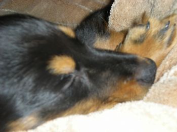 Maggley profile photo