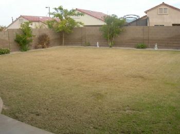 mrnorm4 profile photo