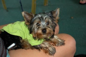 Roxana777 profile photo
