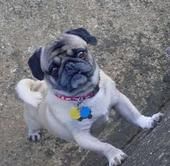 jennpeace303 profile photo