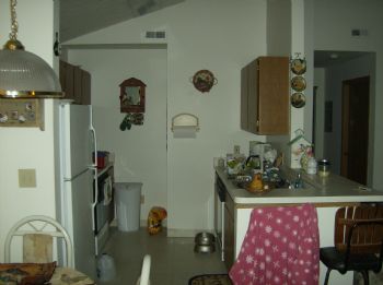 taranichol28 profile photo