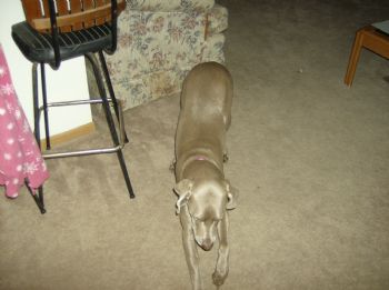 taranichol28 profile photo