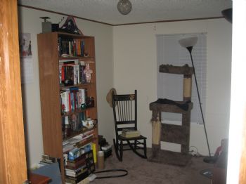 my4cats profile photo