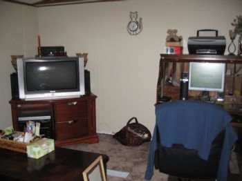 my4cats profile photo