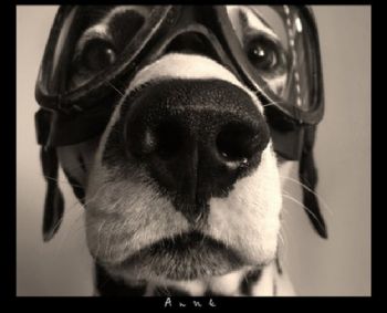 jmgia84 profile photo
