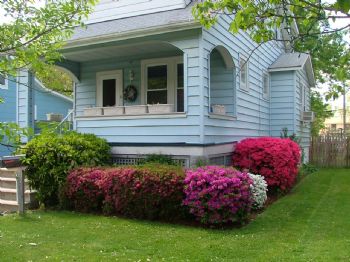 blueyedmeg profile photo