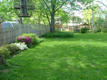 blueyedmeg profile photo