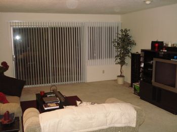 mitchell0527 profile photo