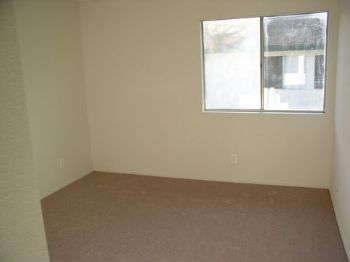 catvivo12 profile photo