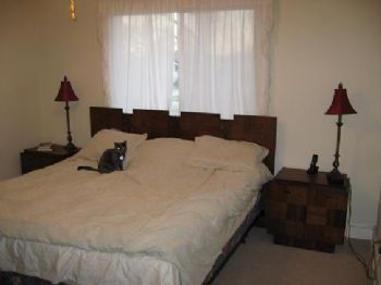 silakasha profile photo