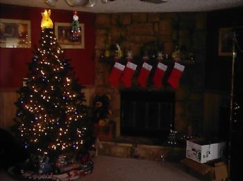 triplejay profile photo