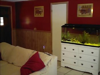 triplejay profile photo