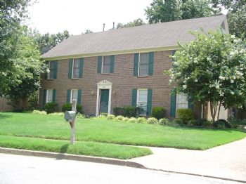 dawood profile photo