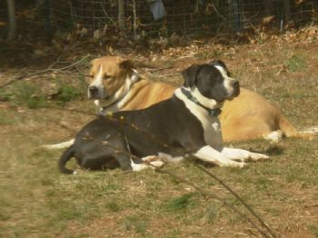 solar122 profile photo