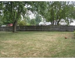 drdidg profile photo