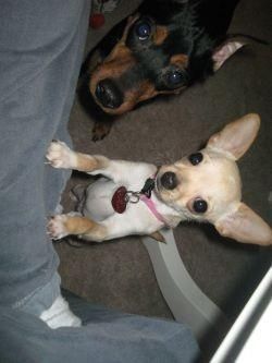 elysia1234 profile photo