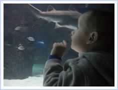 Colorin profile photo