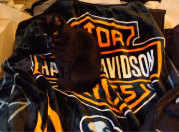 amylynn07 profile photo