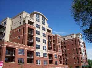 shell107 profile photo