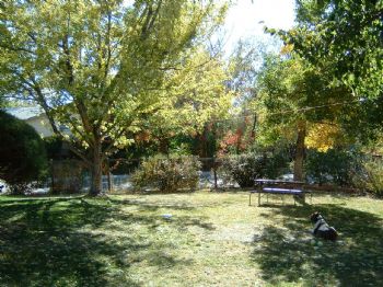 krissyjkh profile photo