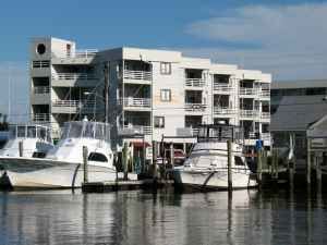 beachnut profile photo