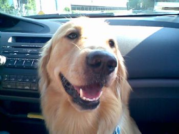 janicelin14 profile photo