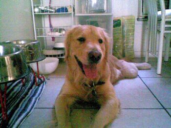 janicelin14 profile photo