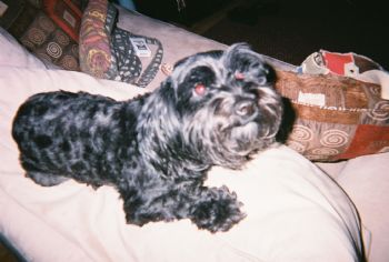 cadams79 profile photo