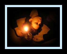 VIRGOGIRL82 profile photo