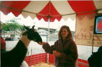 catnipfur123 profile photo