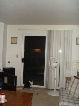 alwaysweet profile photo