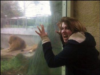 Katie_Moles profile photo