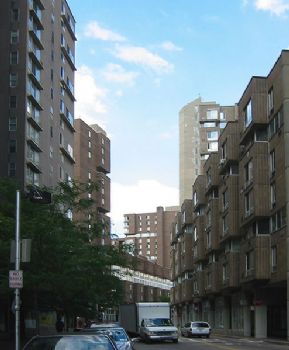 Section1Guy profile photo