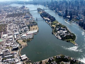 Section1Guy profile photo