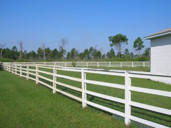 MMedina profile photo