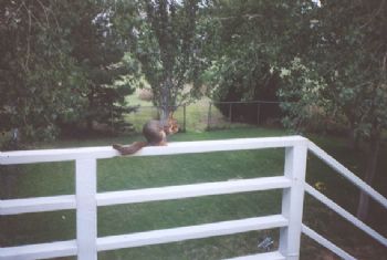 JetEYe profile photo