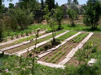 JetEYe profile photo