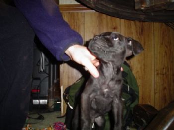 stcroix8883 profile photo