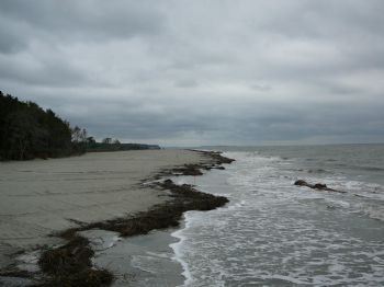 limeyguyonhh profile photo