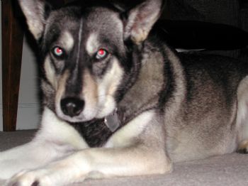 acc_5855 profile photo